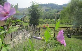 Agriturismo le Spighe